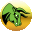 Medved Trader logo